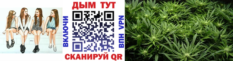 Бошки марихуана OG Kush  купить наркотик  Шелехов 